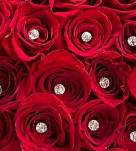 Diamonds – CARMIN'S FLOWER SHOP, Laredo TX
