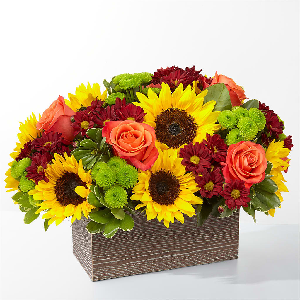 Happy Harvest Garden – CARMIN'S FLOWER SHOP, Laredo TX