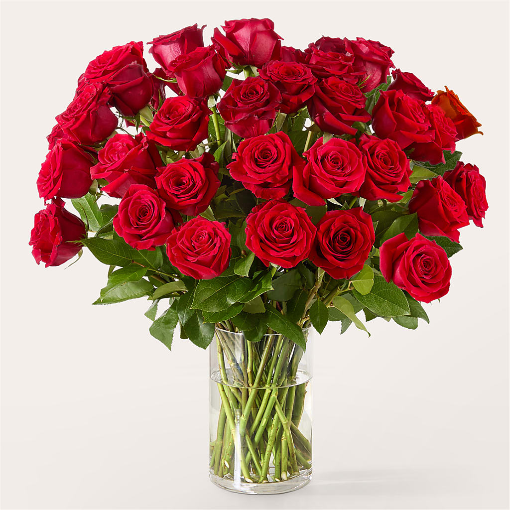 The One Red Rose Bouquet – CARMIN'S FLOWER SHOP, Laredo TX