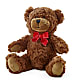 Adorable Plush Bear – CARMIN'S FLOWER SHOP, Laredo TX
