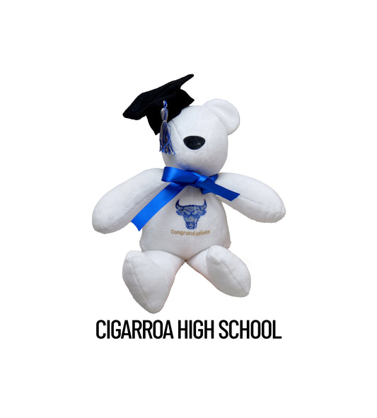 Cigarroa High School