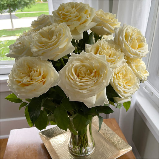 Long Stem Yellow Rose Bouquet – CARMIN'S FLOWER SHOP, Laredo TX