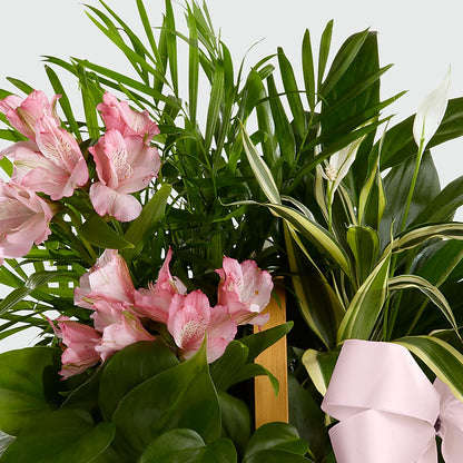 Living Spirit Dishgarden – CARMIN'S FLOWER SHOP, Laredo TX