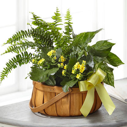 Always Dear Dishgarden – CARMIN'S FLOWER SHOP, Laredo TX