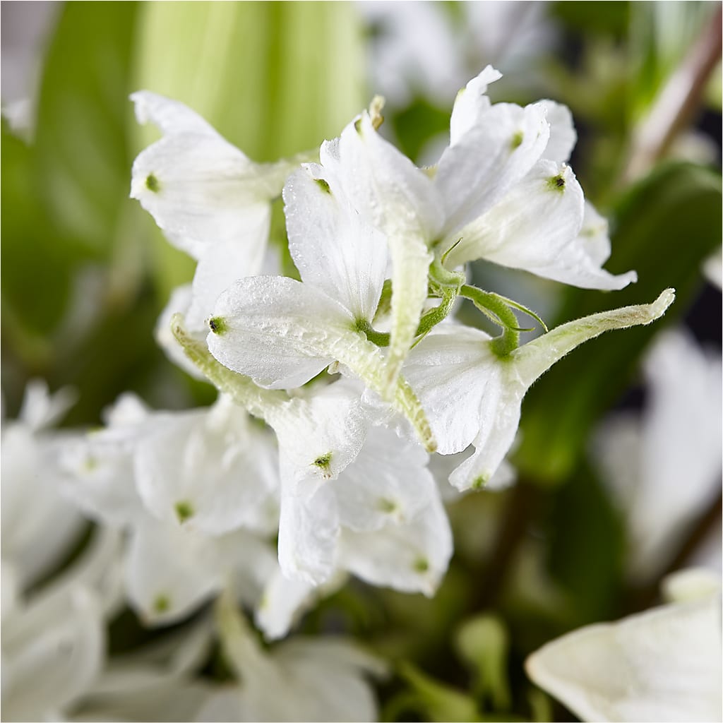Classic Ivory – A Florist Original – CARMIN'S FLOWER SHOP, Laredo TX