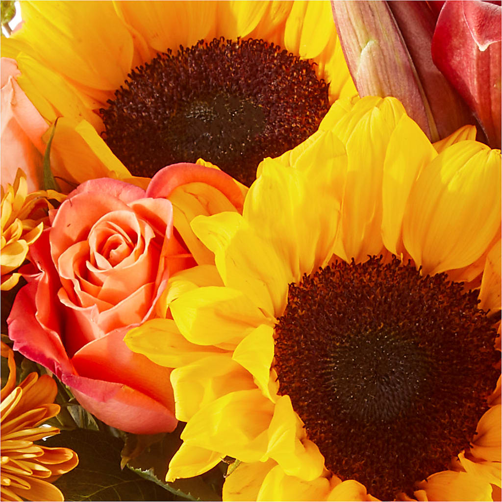 Acorn Lane Bouquet – CARMIN'S FLOWER SHOP, Laredo TX