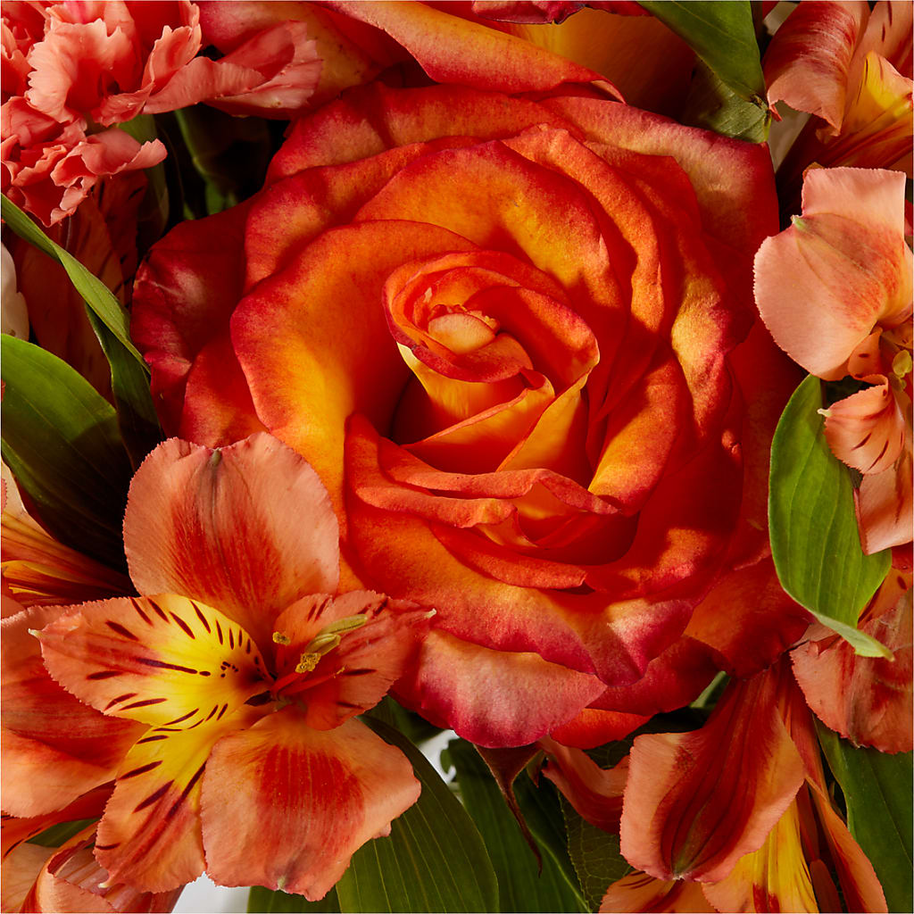 Apricot Glow Bouquet – CARMIN'S FLOWER SHOP, Laredo TX