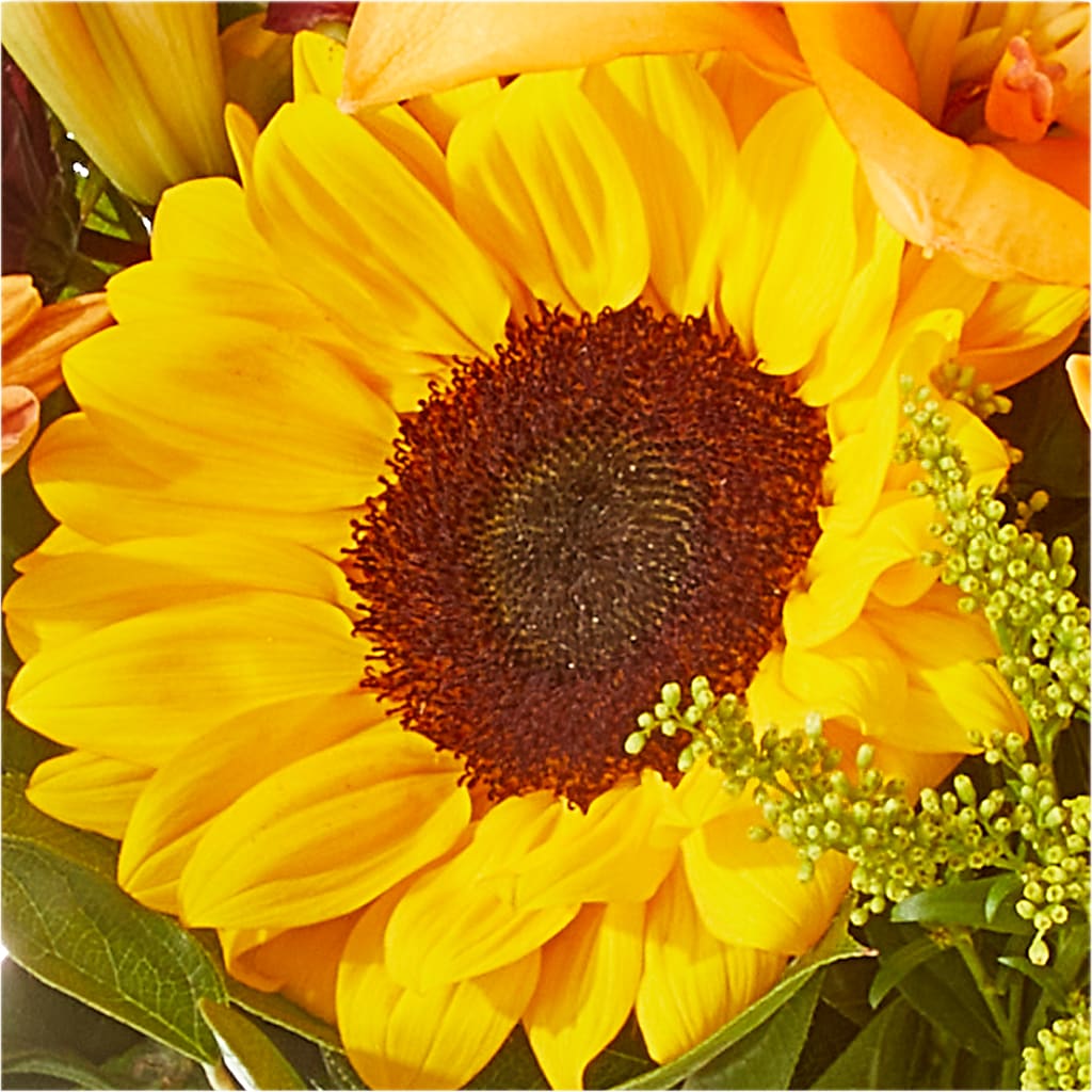 Seasons Change Bouquet – CARMIN'S FLOWER SHOP, Laredo TX