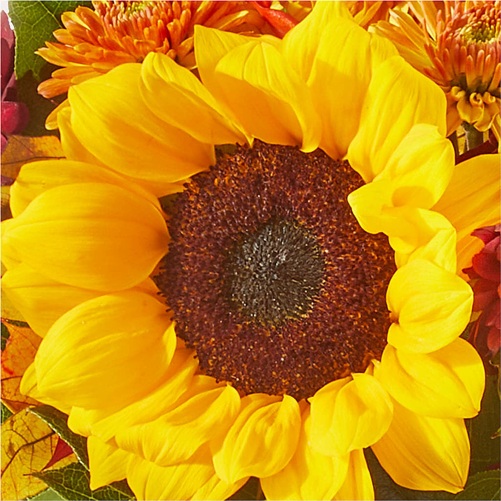 Sunny Side Bouquet – CARMIN'S FLOWER SHOP, Laredo TX