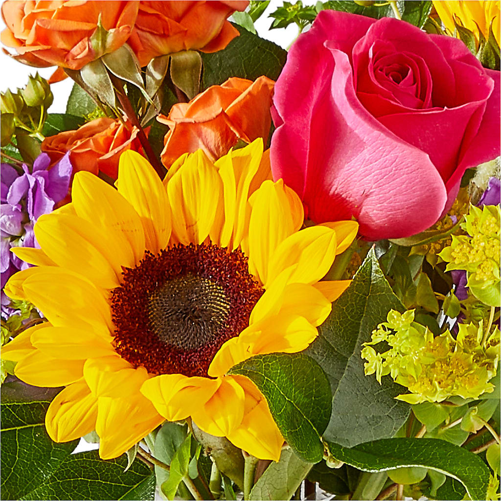 Vibrant Greetings Bouquet – CARMIN'S FLOWER SHOP, Laredo TX