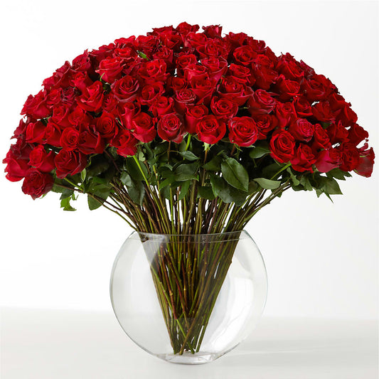 The Idealist – CARMIN'S FLOWER SHOP, Laredo TX