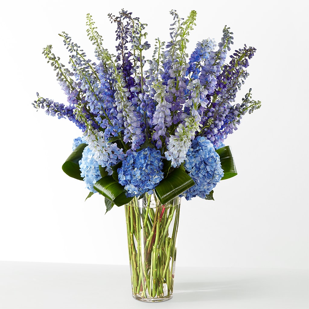 The Editorial – CARMIN'S FLOWER SHOP, Laredo TX