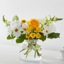 Load image into Gallery viewer, Sun Salutation Bouquet
